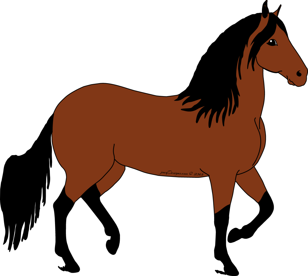 Bay Paso Fino Cartoon Horse T-shirts — Gaited Horse Tees Gifts and T-shirts